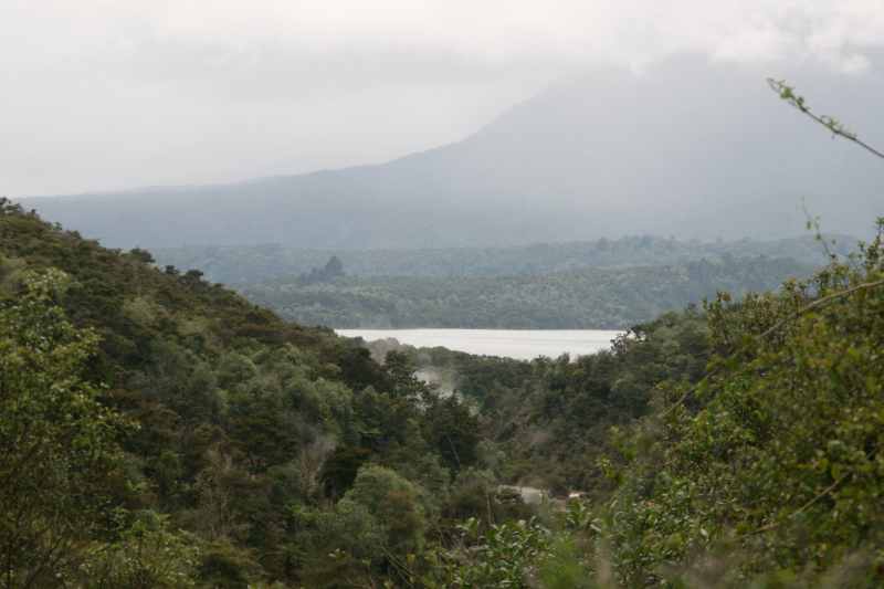 Nieuw-Zeeland 2011 - 0721